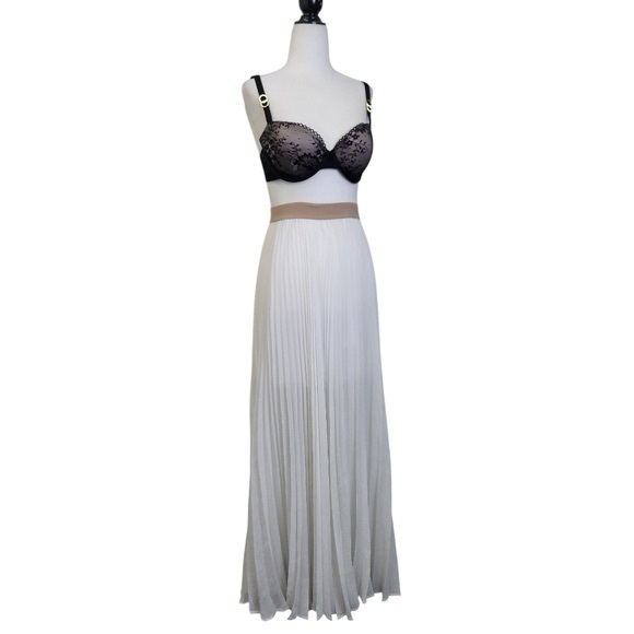 BCBGMaxAzria Dresses & Skirts - Bcbg Maxazria Estel Pleated maxi full Skirt